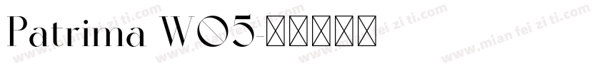 Patrima W05字体转换